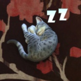 『メッセージのお返事12月19日』の画像