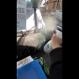 体臭のヒドい客に女性タクシー運転手がマジギレ！ 「2日に1回でいいからお風呂入って」