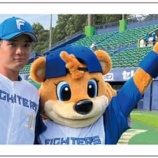 『日ハム二軍、北海道移転の問題点』の画像