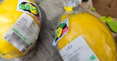 おばけレモンでレモンカードを作りました～【梅が枝餅】