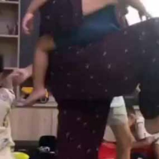 猫の動画 ねこわん！