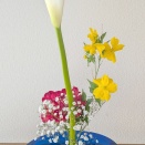 ランラン玄関の生け花NO.371　坂戸整体院ランラン