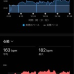 猫好きランナーの青梅ニャンRUN記