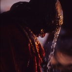 風の動物病院のブログ