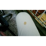 �إХ�ơ������Ρʹ��ˡ������Ĥ��Ƥ롪�٤β���