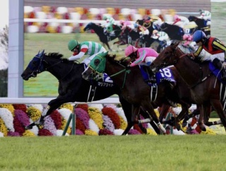 【エリザベス女王杯2025予想】