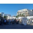 SHONAN CRAFT BEER FES