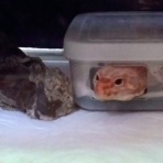 今日もテキトーに