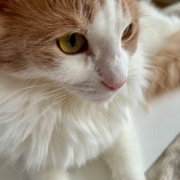 こひろみくんと東京駅観光とグルメ