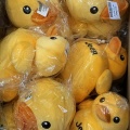 ＼大人気アイテム再入荷しました🐥💛／