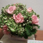 『瑠璃色の地球(*^^*)』の画像