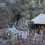 『高尾山から景信山、木下沢梅林へ』の画像