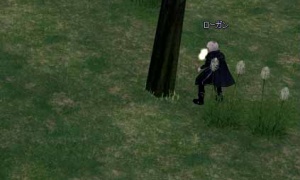 ローガンが木に引っかかりすぎて吹くｗｗｗｗｗ