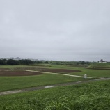 『6月20日(土)、本日のグラウンド利用について』の画像