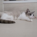 ��ǯ���ä���ޤ���(^^)/���ˤ��ˤ��ˤ��ǭ����(=^��^=)