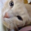 お休み