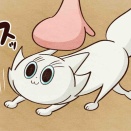 変幻自在猫