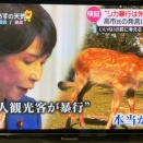 日本テレビが高市批判のために鹿を蹴る外国人がいないと仕込みの役者に言わせてデマ報道！
