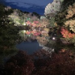 矢場動物堂 スタッフブログ 名古屋パルコ5階