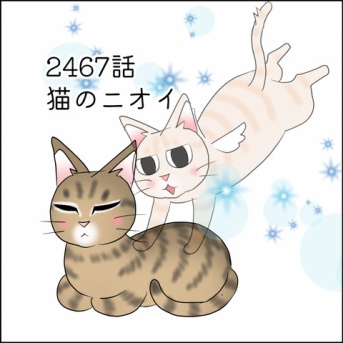 あんこ＆麦2467 猫のニオイ