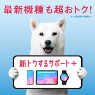 S-MAX
