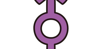 昔に戻って人生をやり直したいです。昔、工事の会社で事務をやってましたが、社員の男性が性同一性障害とかで女として生活を始め…