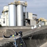 『1月の走行距離』の画像