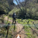週末ハイキングは広町緑地へ
