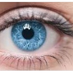 自分の歯にレンズ埋め、移植して視力復活する技術がすごい！！