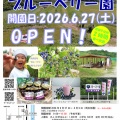 2026年7月25日、26日ブルーベリー園は開園予定です。