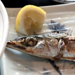 春は築地で朝ごはん