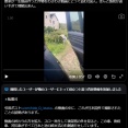 北村晴男議員「この動画見て！日本で中国人が泥棒してる！」→日本ではありませんでした