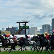 ドラマ「ザ・ロイヤルファミリー」を見終えて