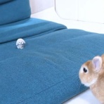 うのくらし