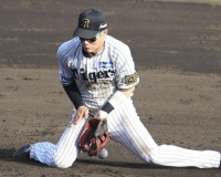 【悲報】木浪聖也のショート守備、さすがに批判が絶えない