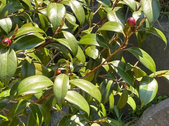 4月21日(火) (^O^)／