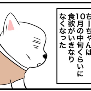 ちーちゃんっ🐾