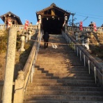 今日も元気に寺社めぐり