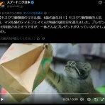ダイヤモンドダストが舞う街角から