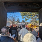 富士見市鶴瀬　腰痛　肩こり　ひざ痛　花谷接骨院の院長日記　Part Ⅱ