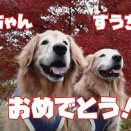 今年もラストつきたん