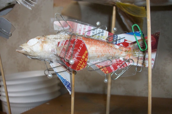 天然テンの剥製 天然テンの剥製 剥製 テンの剥製 希少品