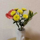 訪問看護・バス・皮膚科・昼食・カフェ・バス