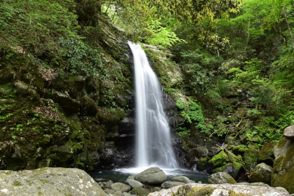 小幸の滝めぐり 牛滝川