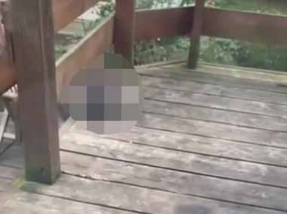 色白の彼女がテラスでランチをしていた。うまそうなモン食っとるやんけ → ヤカラが現れた…