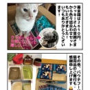 3/22 里親会ご報告 ほか