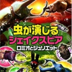 オオカブトの部屋