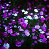 『魂の世界』の画像