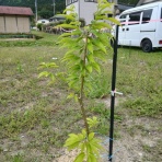 所長日記