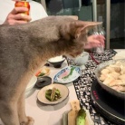 黄身大根おろしで食べる水炊きの夜ごはんと、楽天マラソン最終日